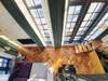 Апарт-отели Exclusive Luxury Lofts Таллин-1